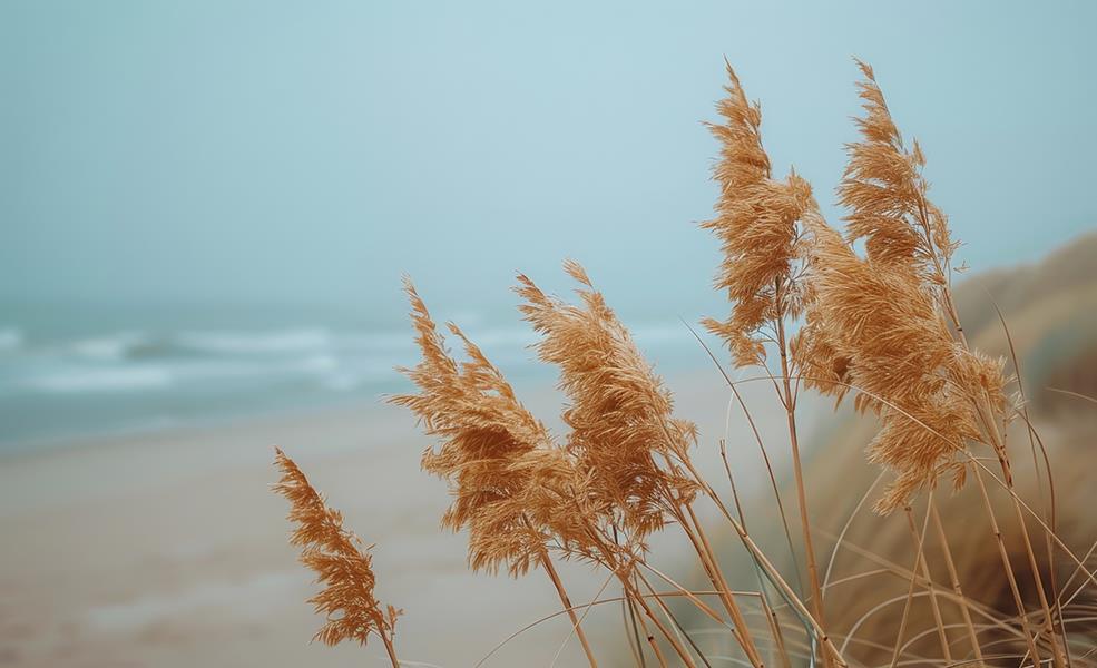 Blowing In The Wind (Framed Small) - Light Blue