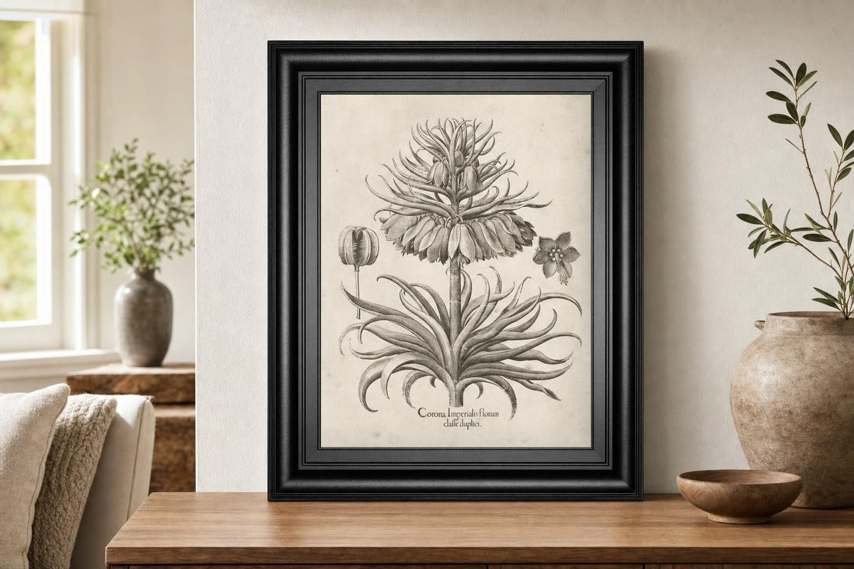 22x26 Fresco Crown Imperial III By Vision Studio - Beige