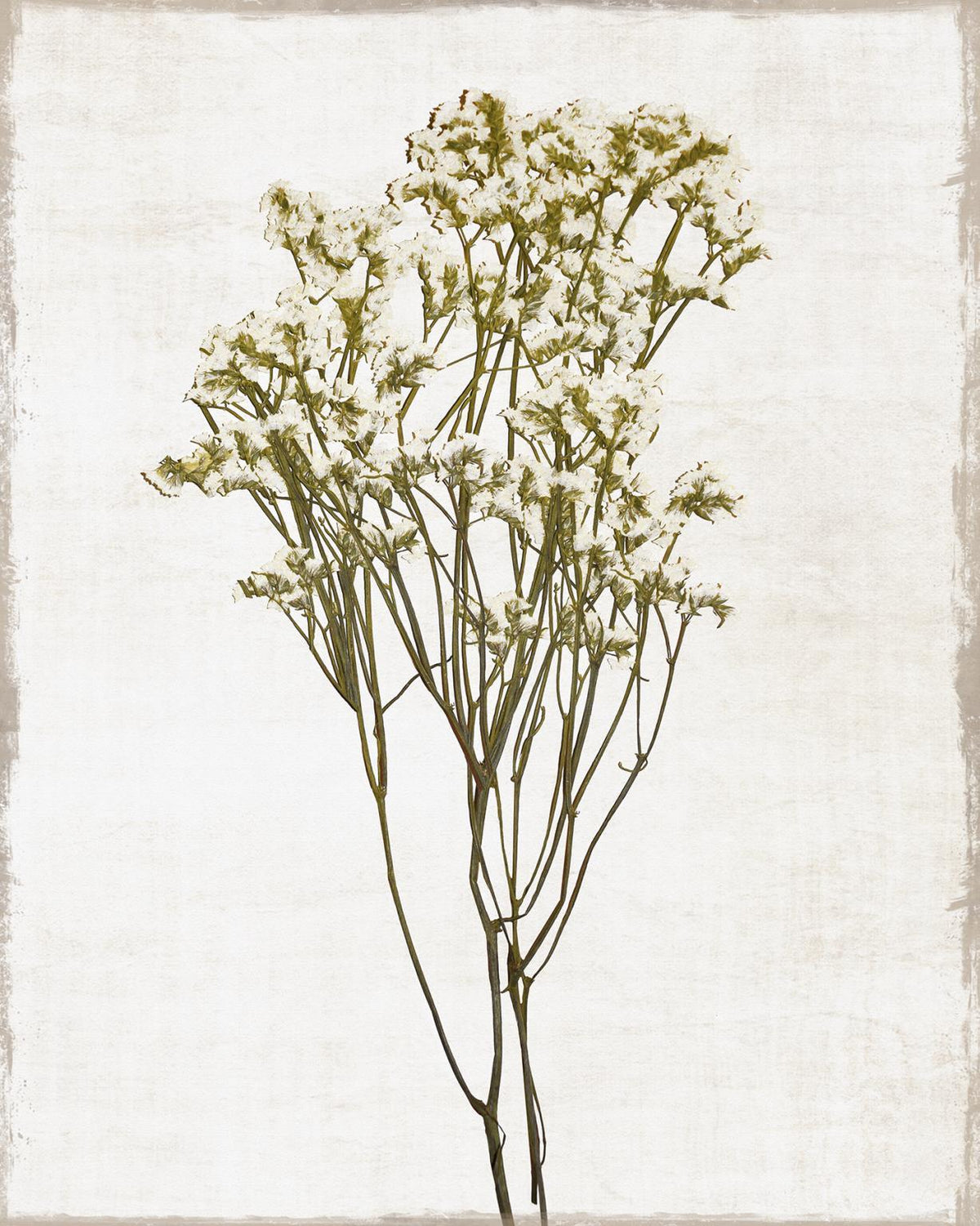 Framed Small - Farmhouse Pressed Flower II By Natalie Carpentieri - Silver