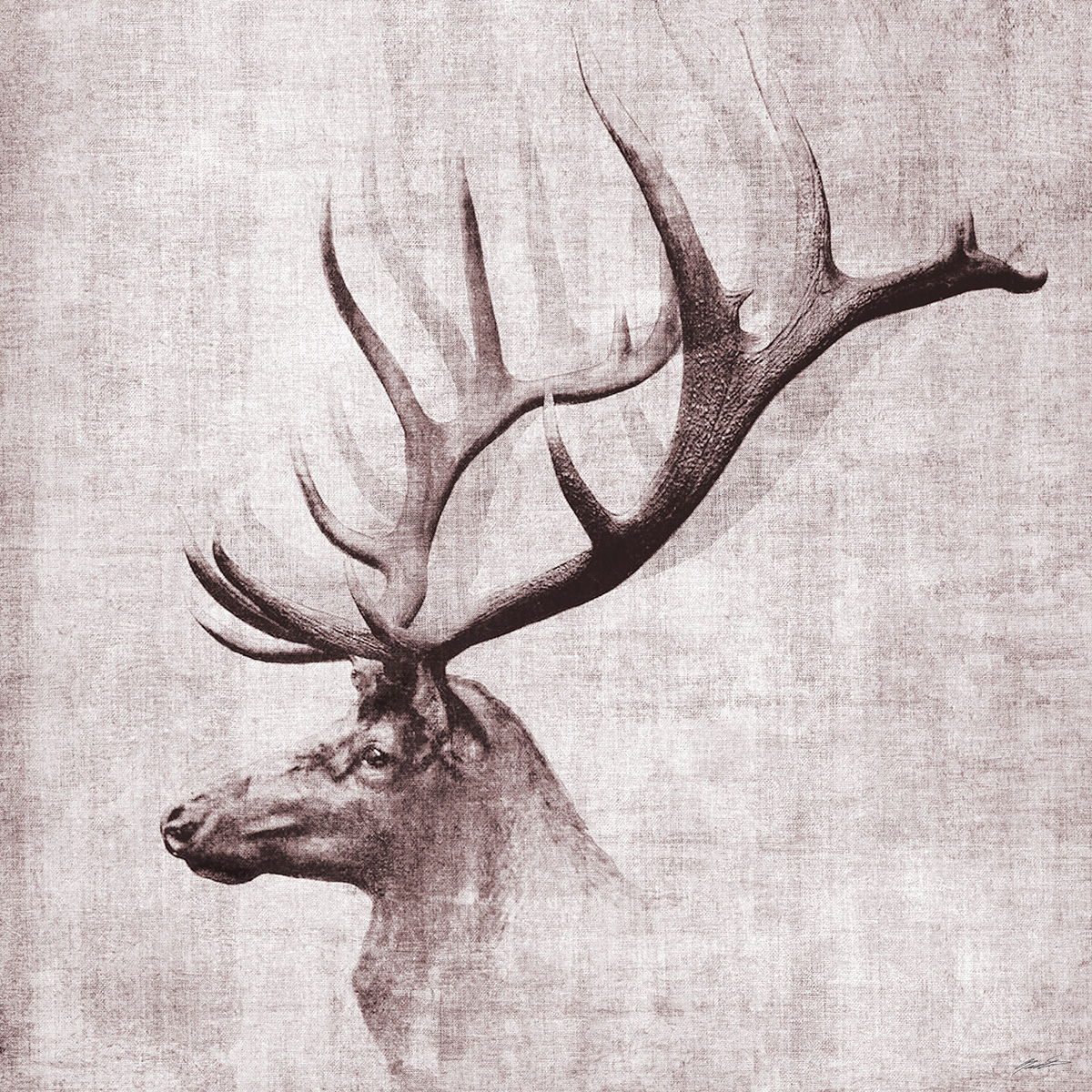 Framed - Open Range II By John Butler - Silver