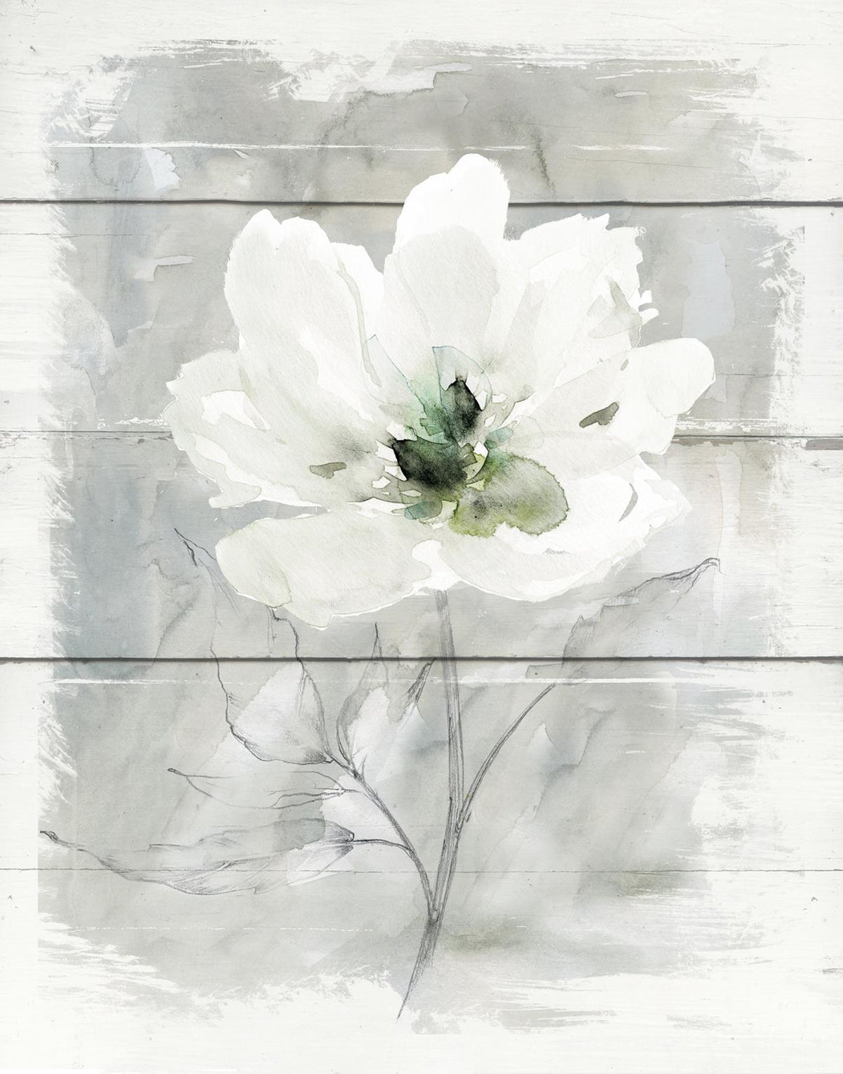 Framed - Farmhouse Rose II By Carol Robinson - Silver