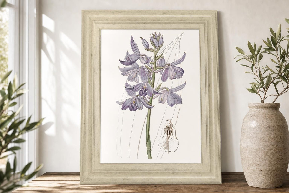 22x26 Lavender Beauties III By Edwards - Purple