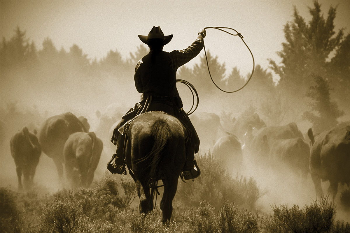 Rope And Ride By Danita Delimont - Light Brown