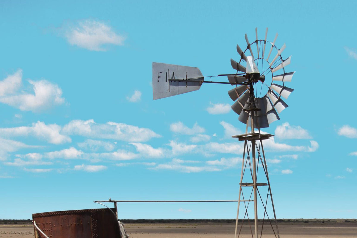 Windmill In The Field By Anna Coppel (Small) - Light Blue