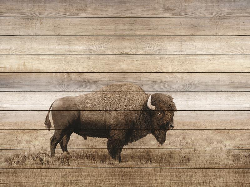 Rustic Bison By Amber Sterling - Light Brown