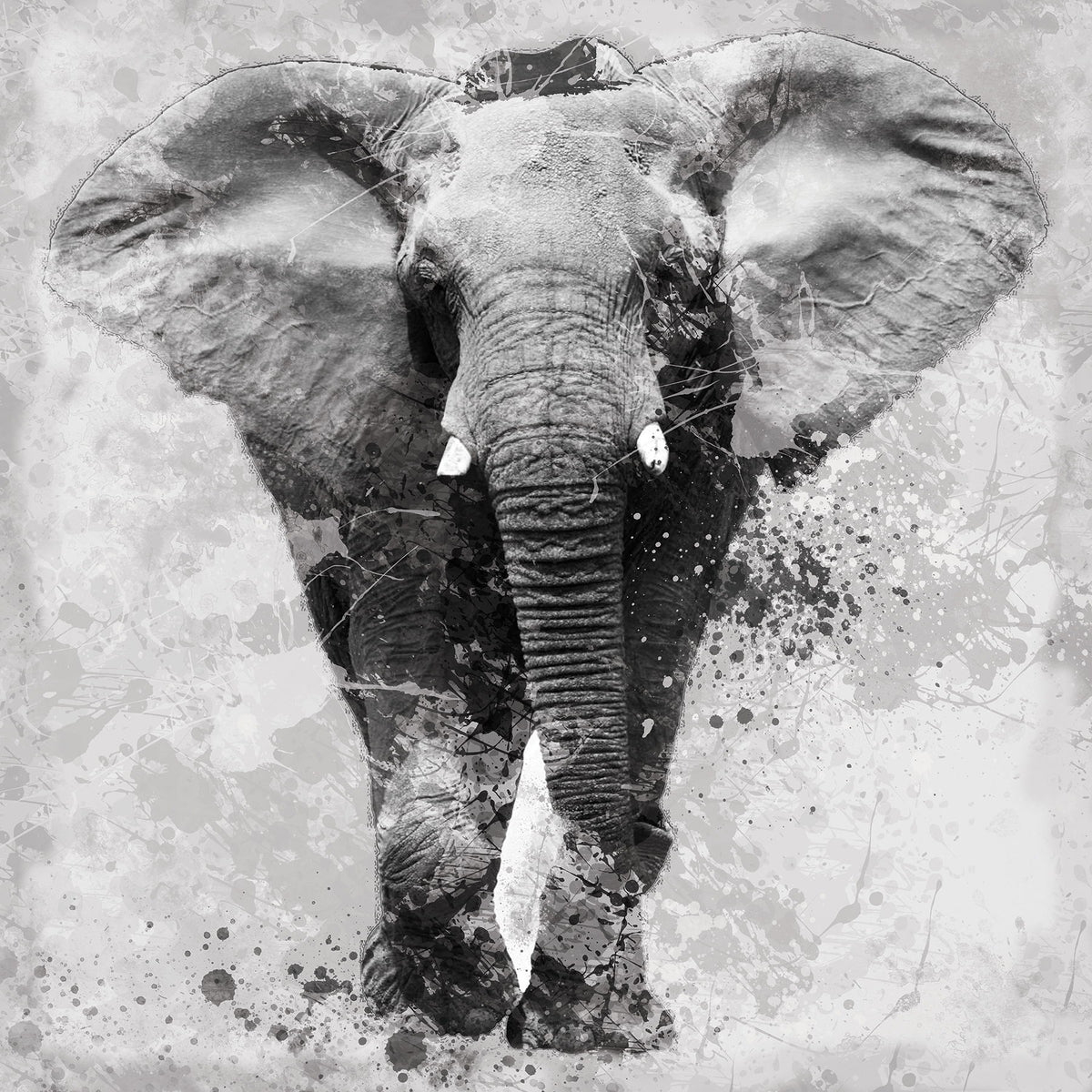 Proud Elephant By Carol Robinson - Silver
