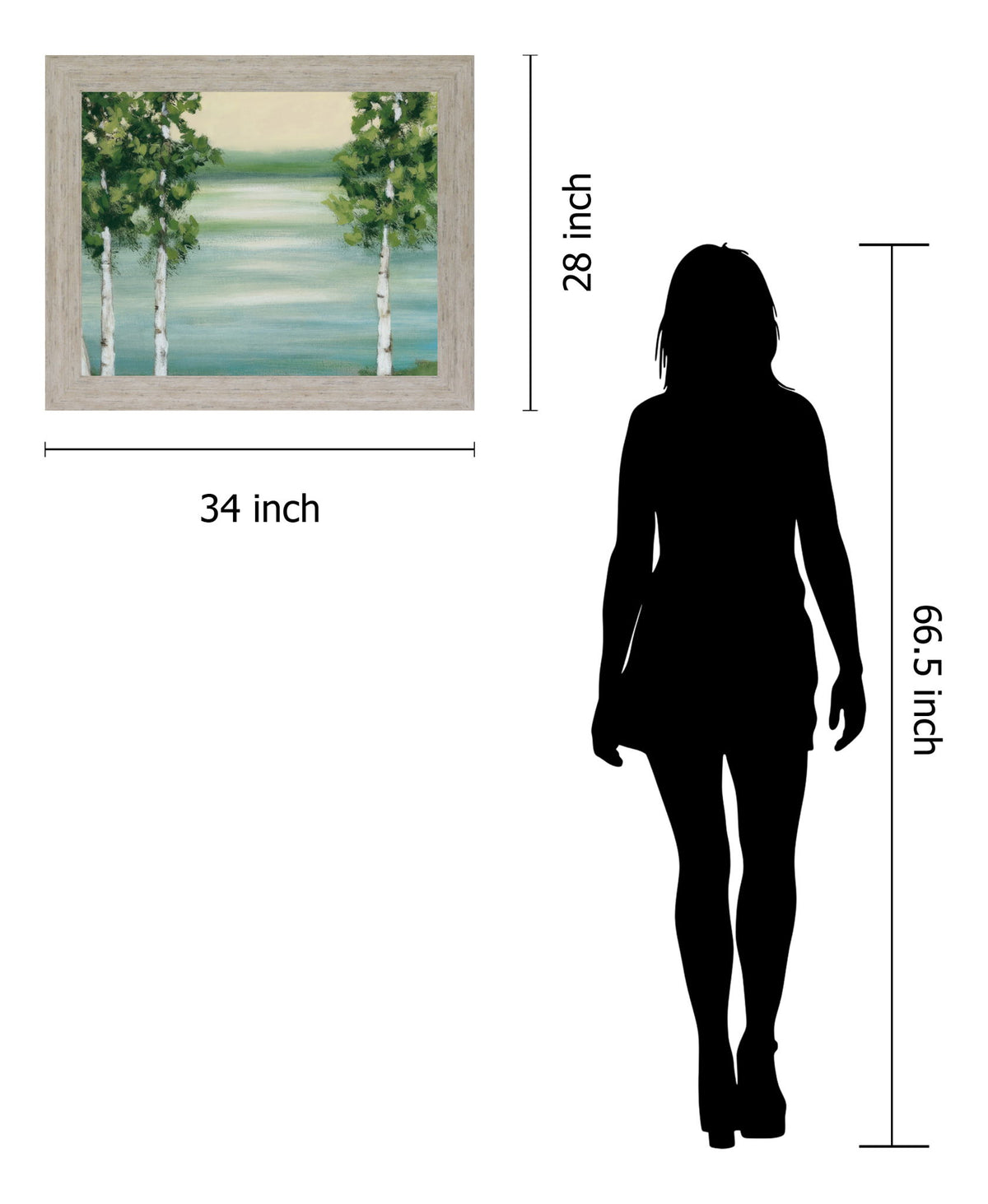 Birches Over Serene Water - 28" x 34" Framed Wall Art - Green