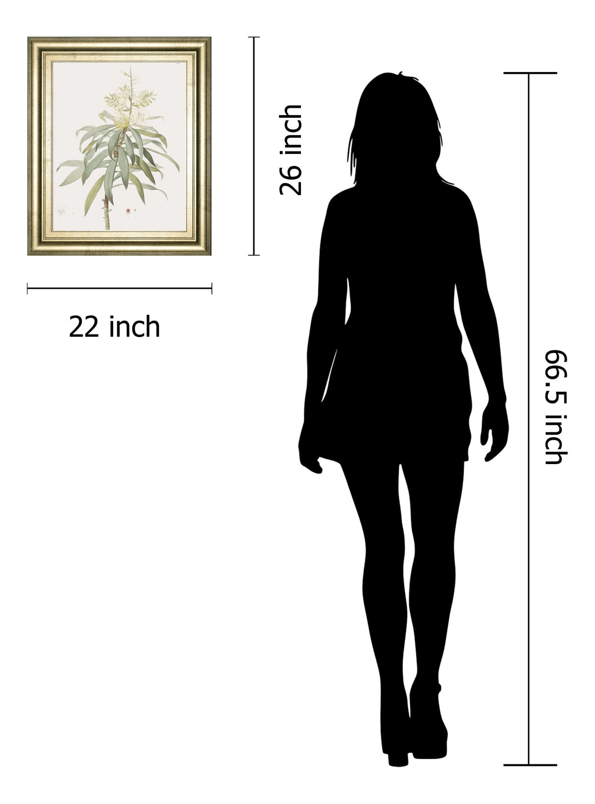 Dracaena Reflexa By Pierre Joseph Redoute - Framed Print Wall Art - Green