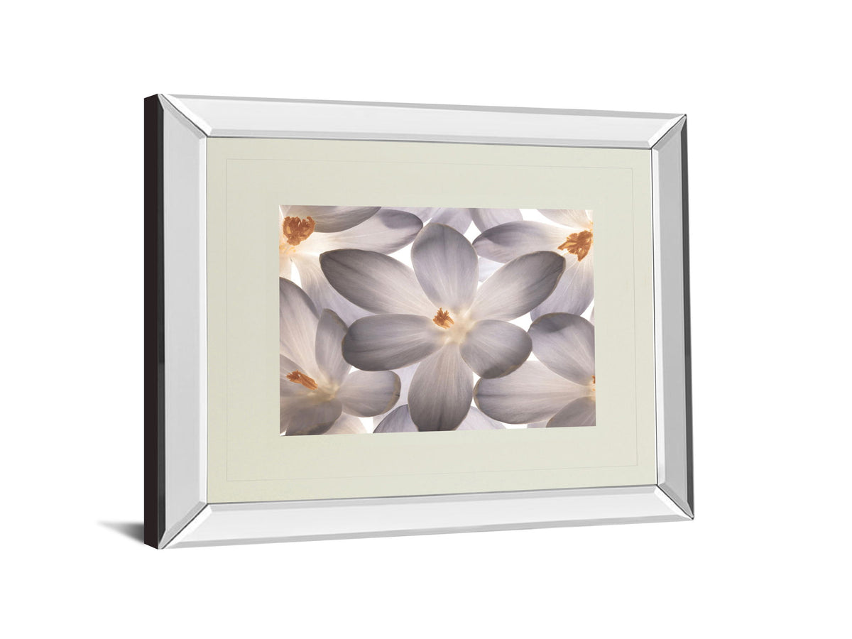 Petal Perfect By Assaf Frank - Mirror Framed Print Wall Art - Beige