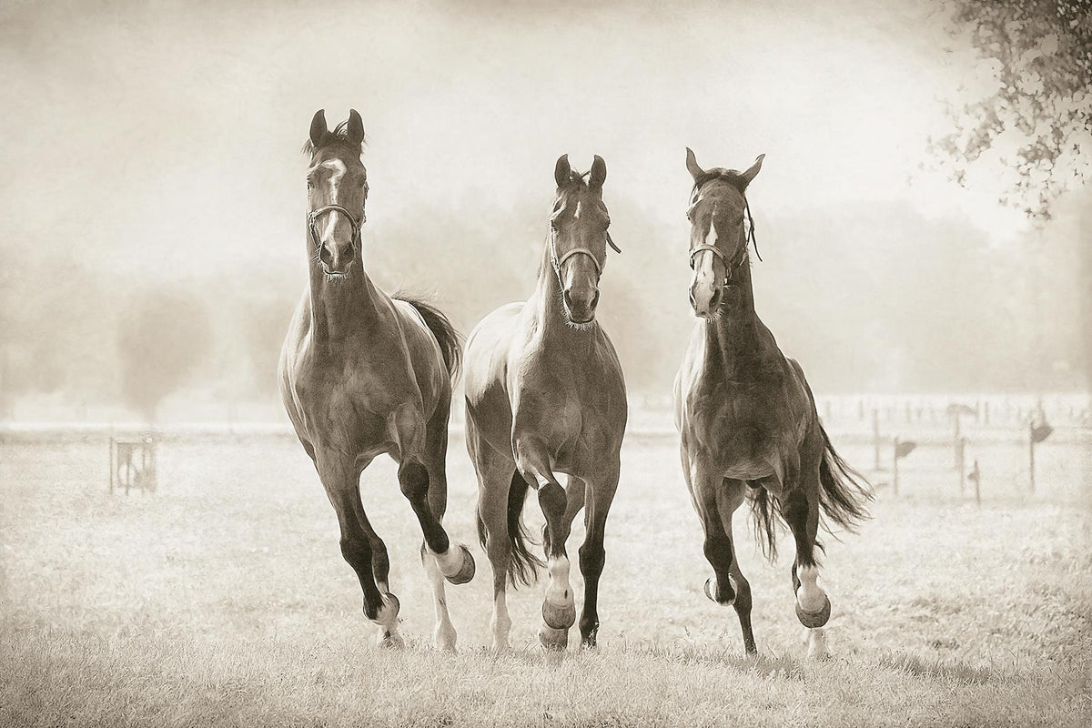 Small - The Young Ones By Lars Van De Goor - Silver