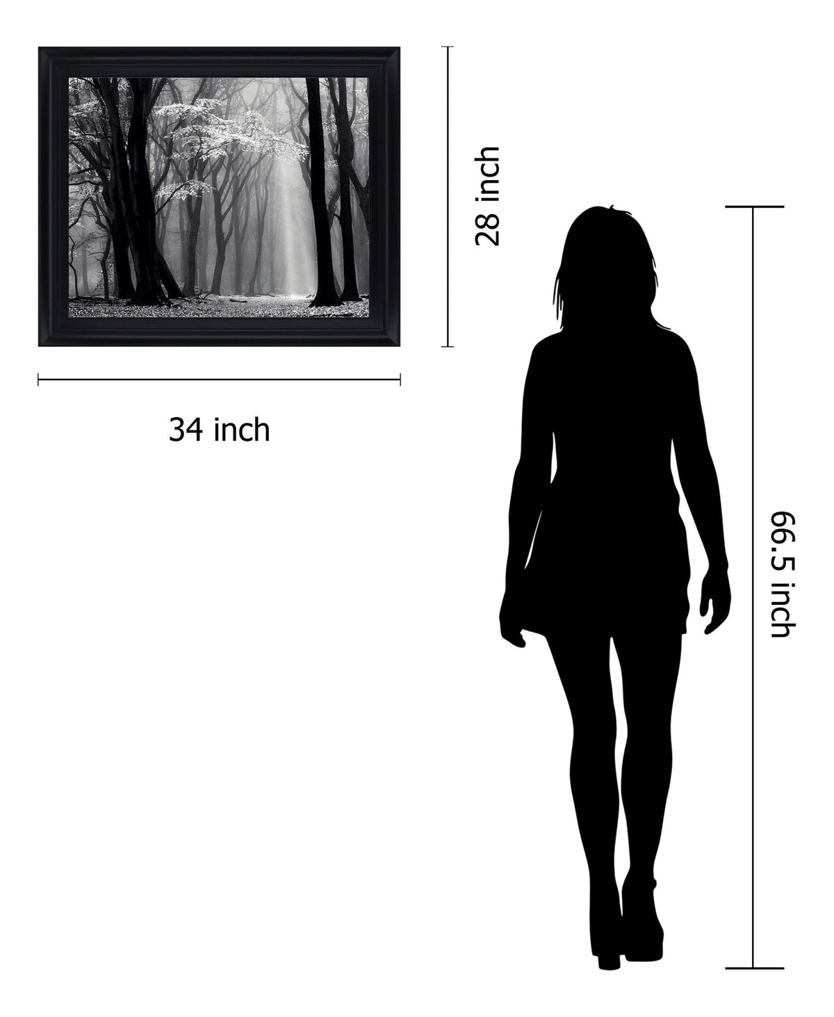 Silent Grove Shadows - 28" x 34" Framed Wall Art - Dark Gray