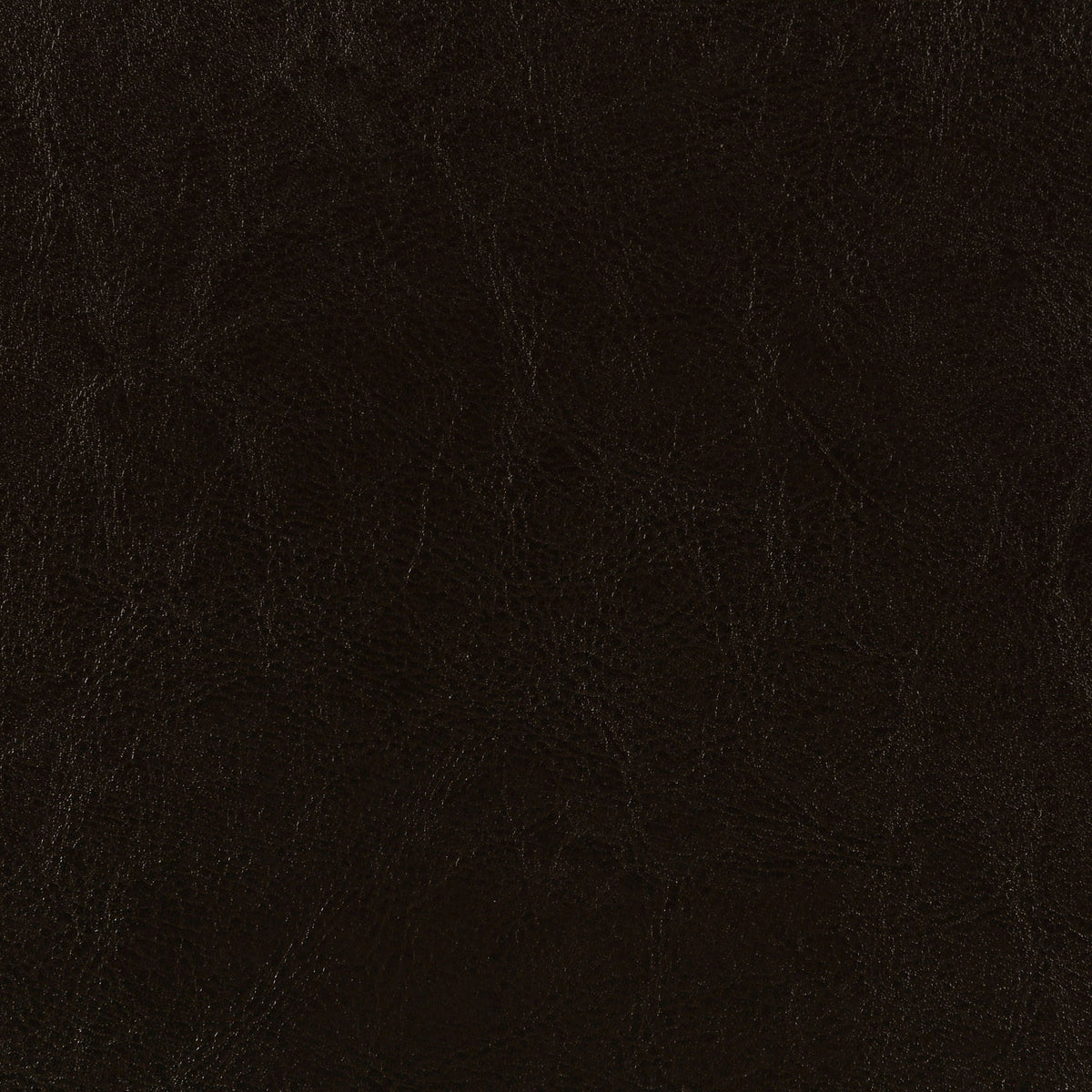 Dorian Faux Leather Upholstered Twin Panel Bed Brown