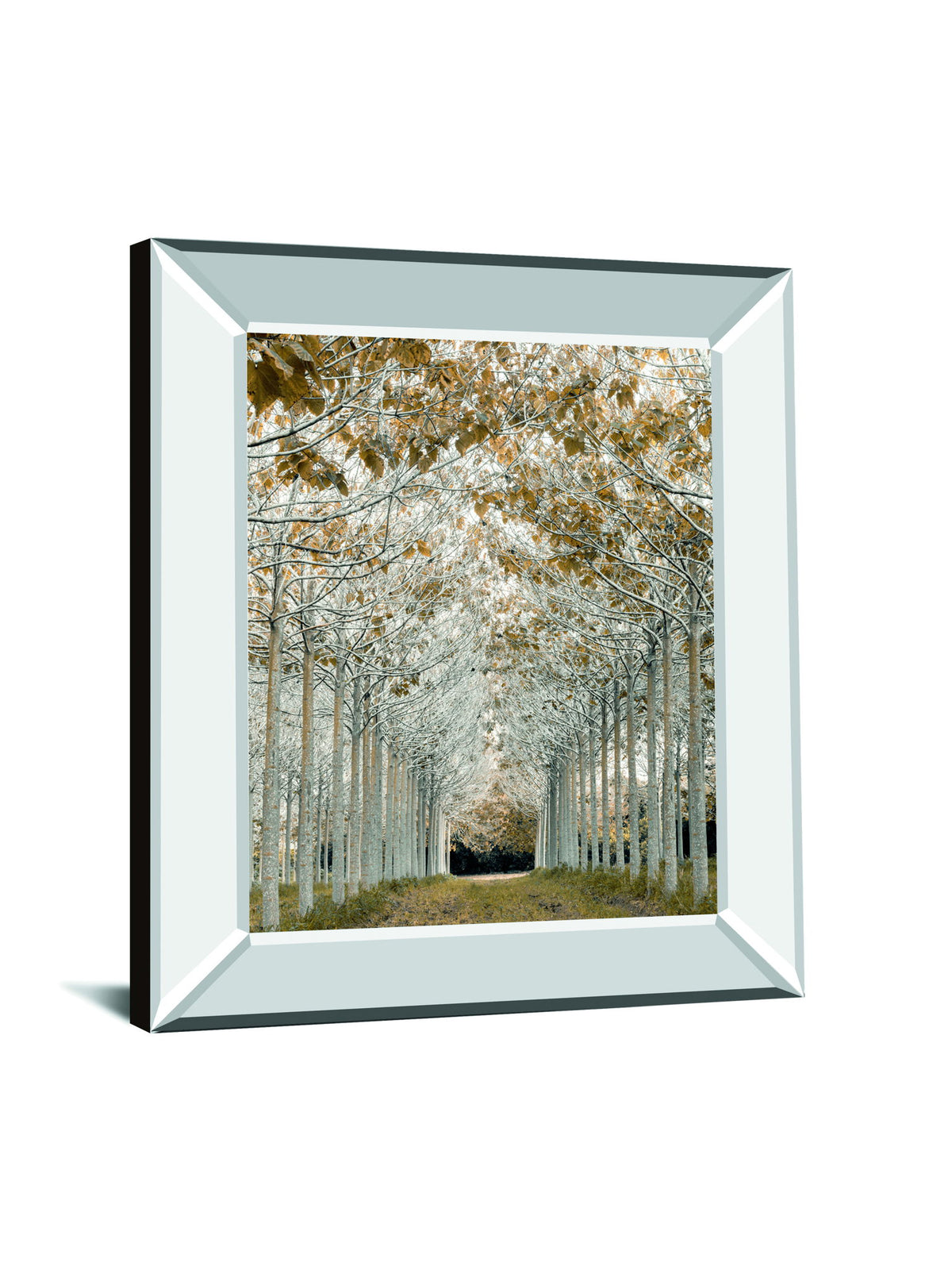 White Gold By Assaf Frank - Mirror Framed Print Wall Art - Silver