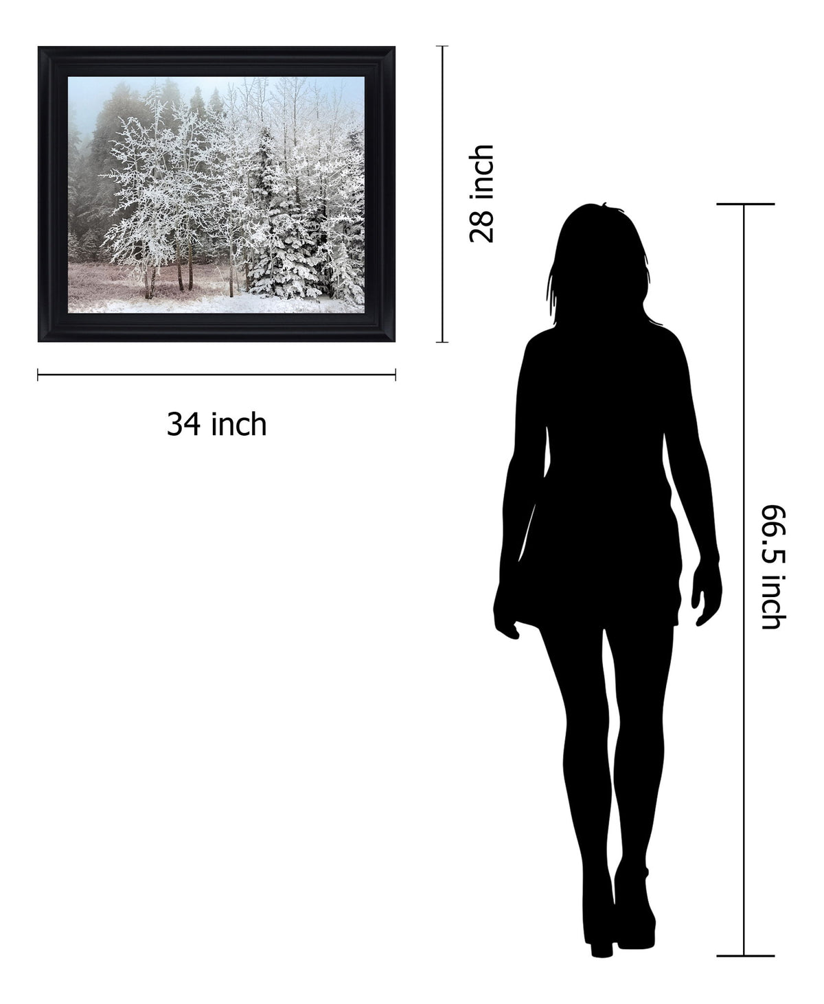Silent Frosted Grove - 28" x 34" Framed Wall Art - Dark Gray