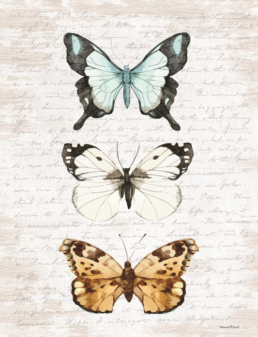 Framed Small - Butterfly Trio By Lettered & Lined - Silver