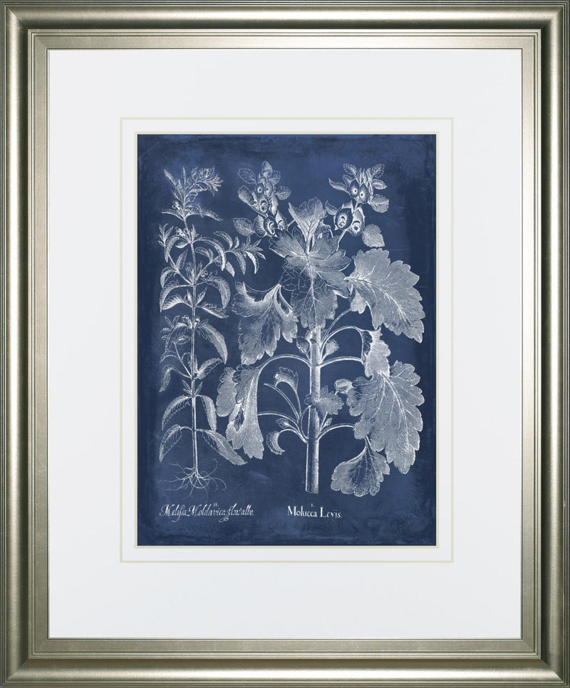 34x40 Besler Leaves in Indigo I By Vision Studio - Blue
