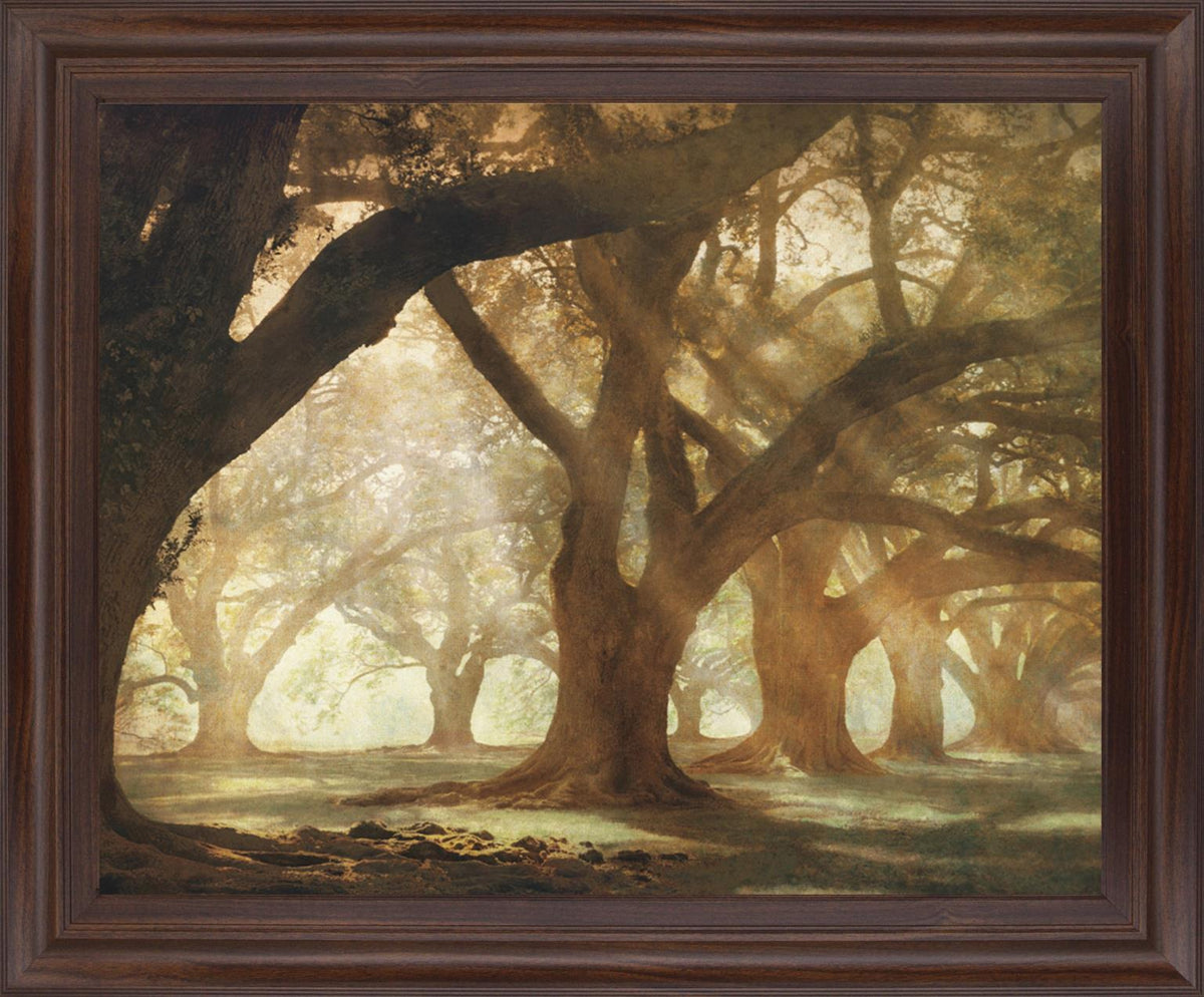 Sunlit Grove Serenity - 28" x 34" Framed Wall Art - Dark Brown