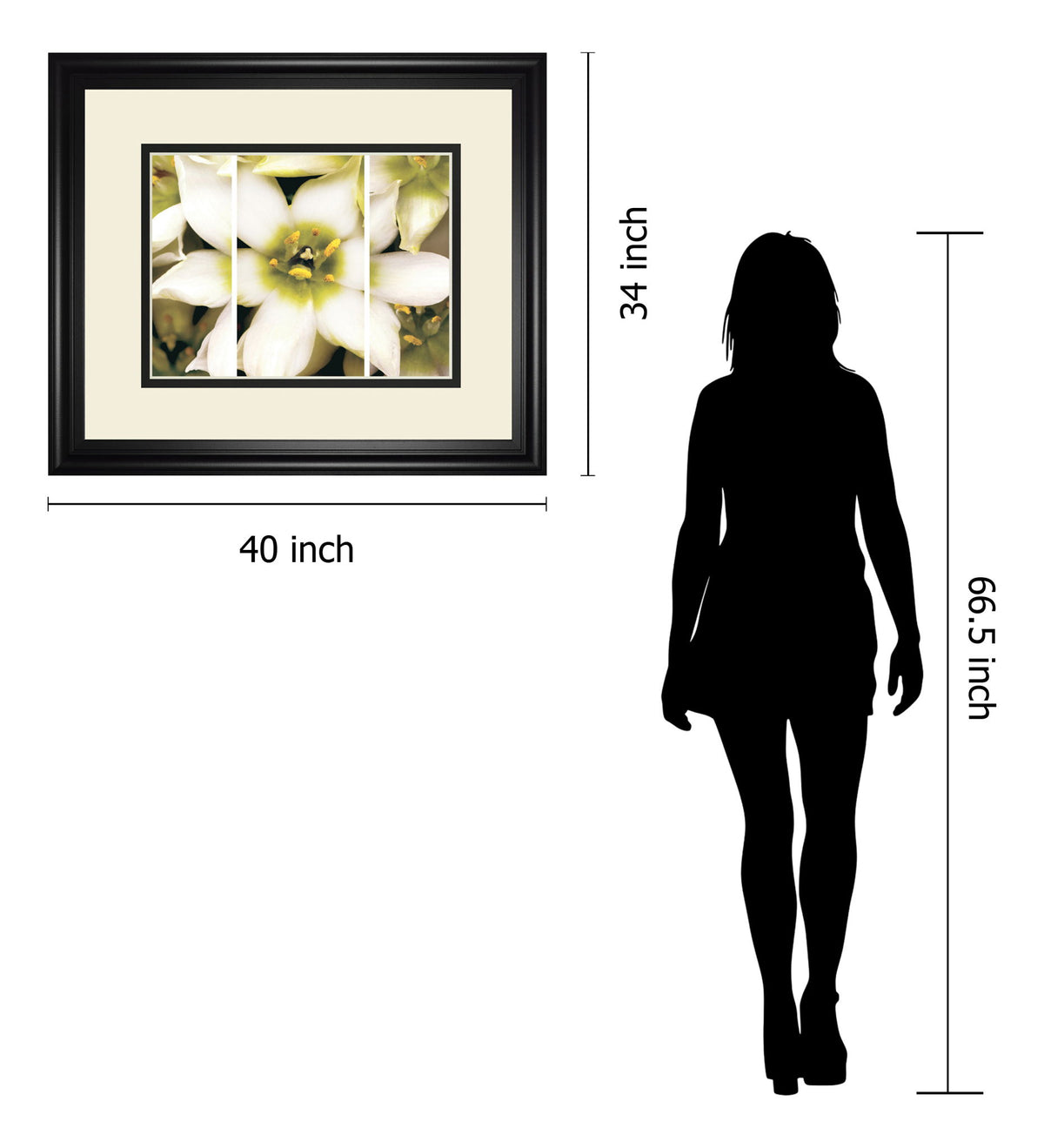 Star Of Bethlehem Triptych By Levine A. - Beige
