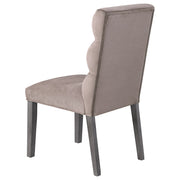 Carla Velvet Upholstered Dining Side Chair (Set of 2)