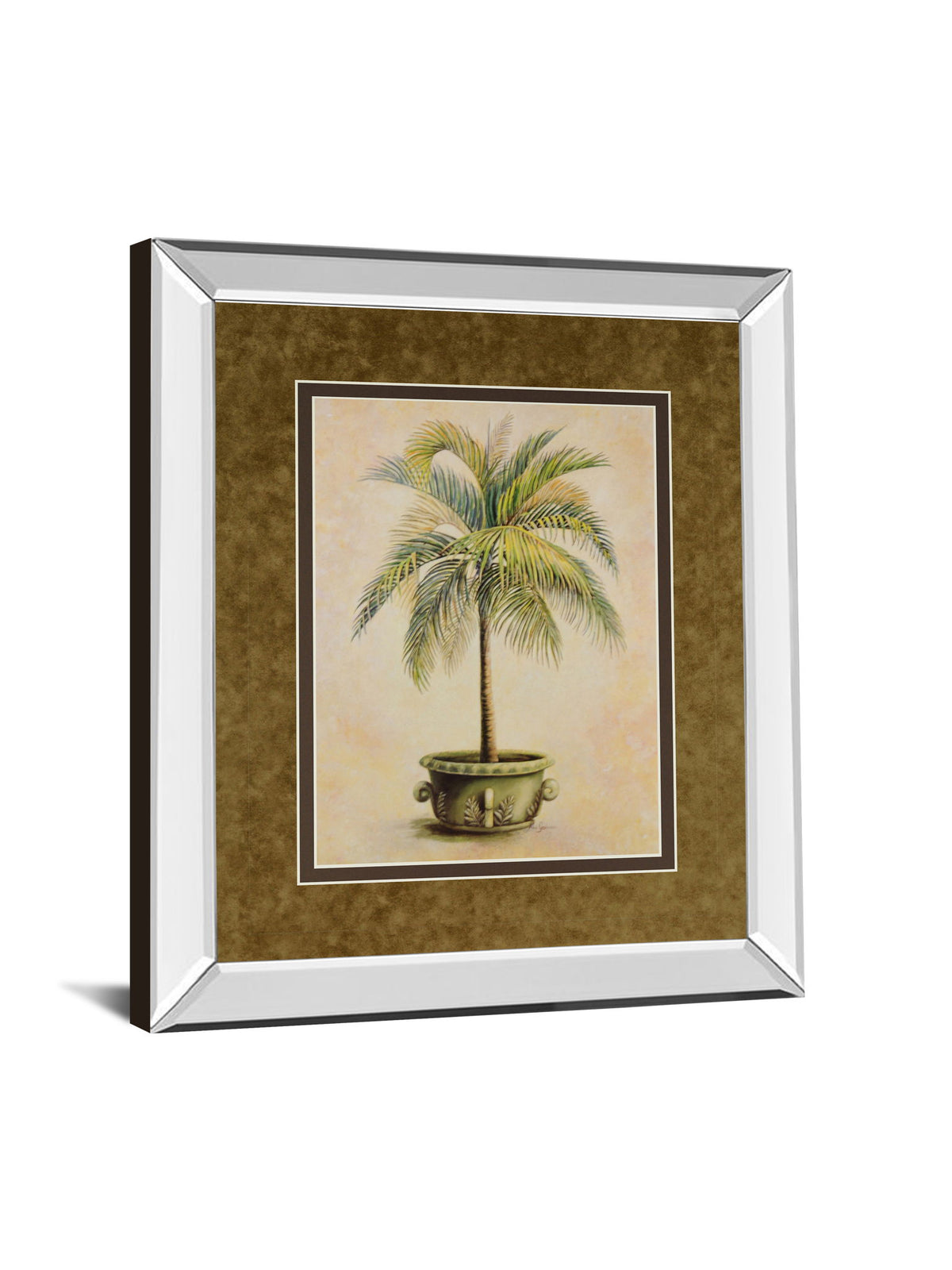 Potted Palm Il - Mirror Framed Print Wall Art - Light Brown