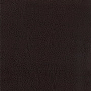 Dewey Upholstered Counter Chair Walnut (Set of 2)