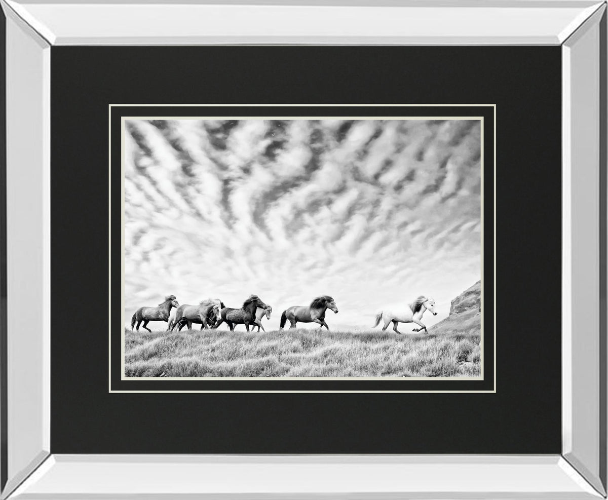 Horse Run III By PHBurchett - Gray