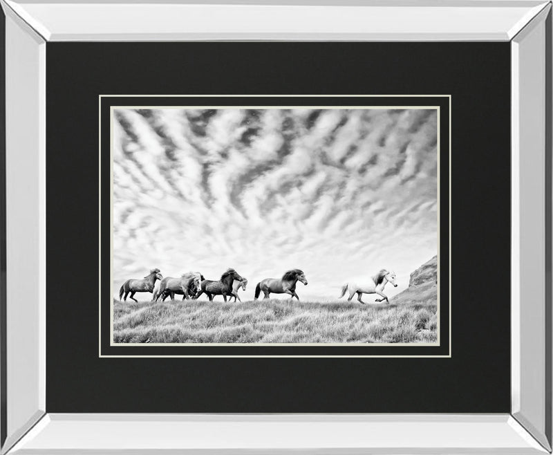 Horse Run III By PHBurchett - Gray