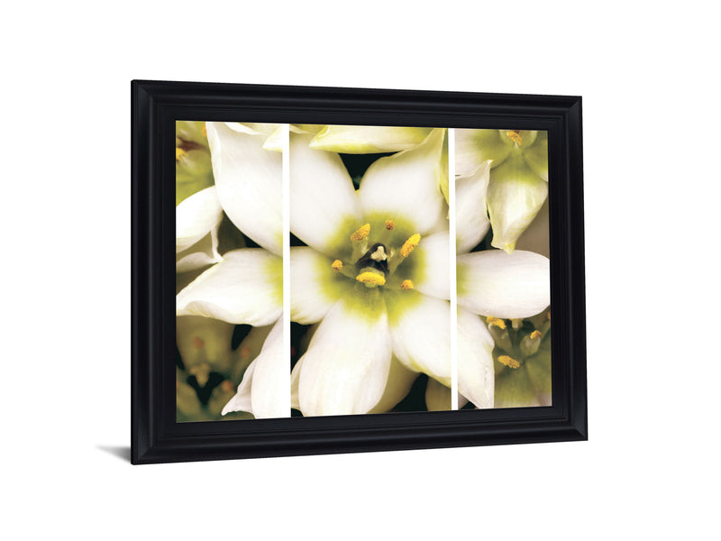Ivory Petal Radiance - 28" x 34" Framed Wall Art - Beige