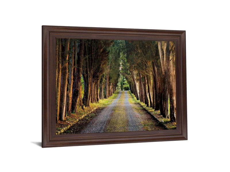 Woodland Passage - 28" x 34" Framed Wall Art - Green