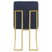 Cisco Velvet Upholstered Dining Side Chair (Set of 2)