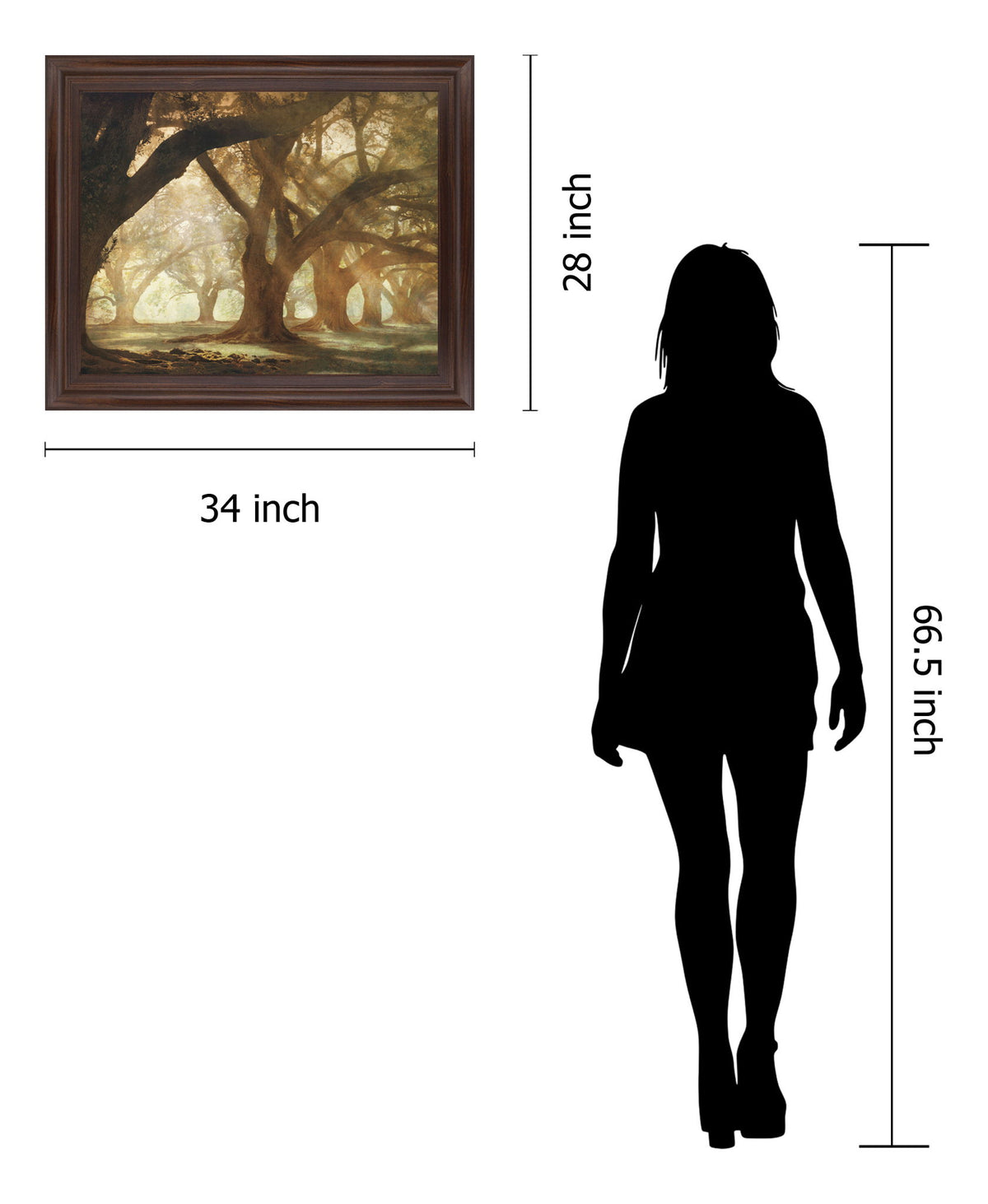 Sunlit Grove Serenity - 28" x 34" Framed Wall Art - Dark Brown