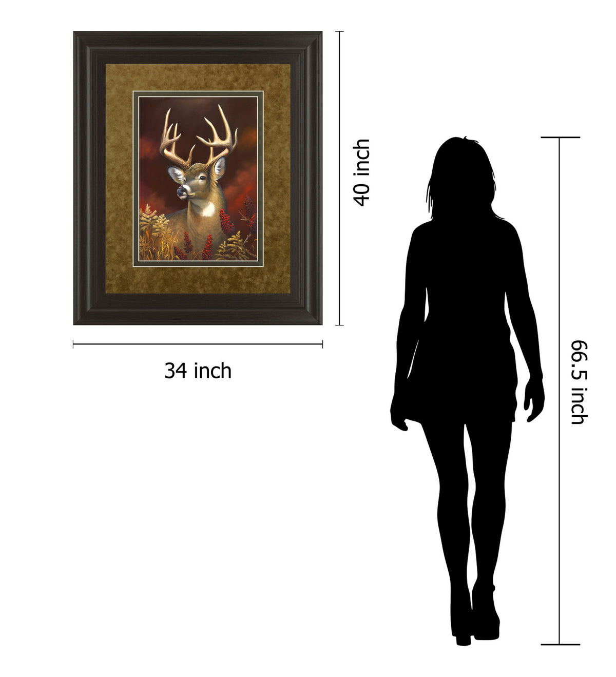 Deer Portrait By Leo Stans Double Matted - Framed Print Wall Art - Light Brown