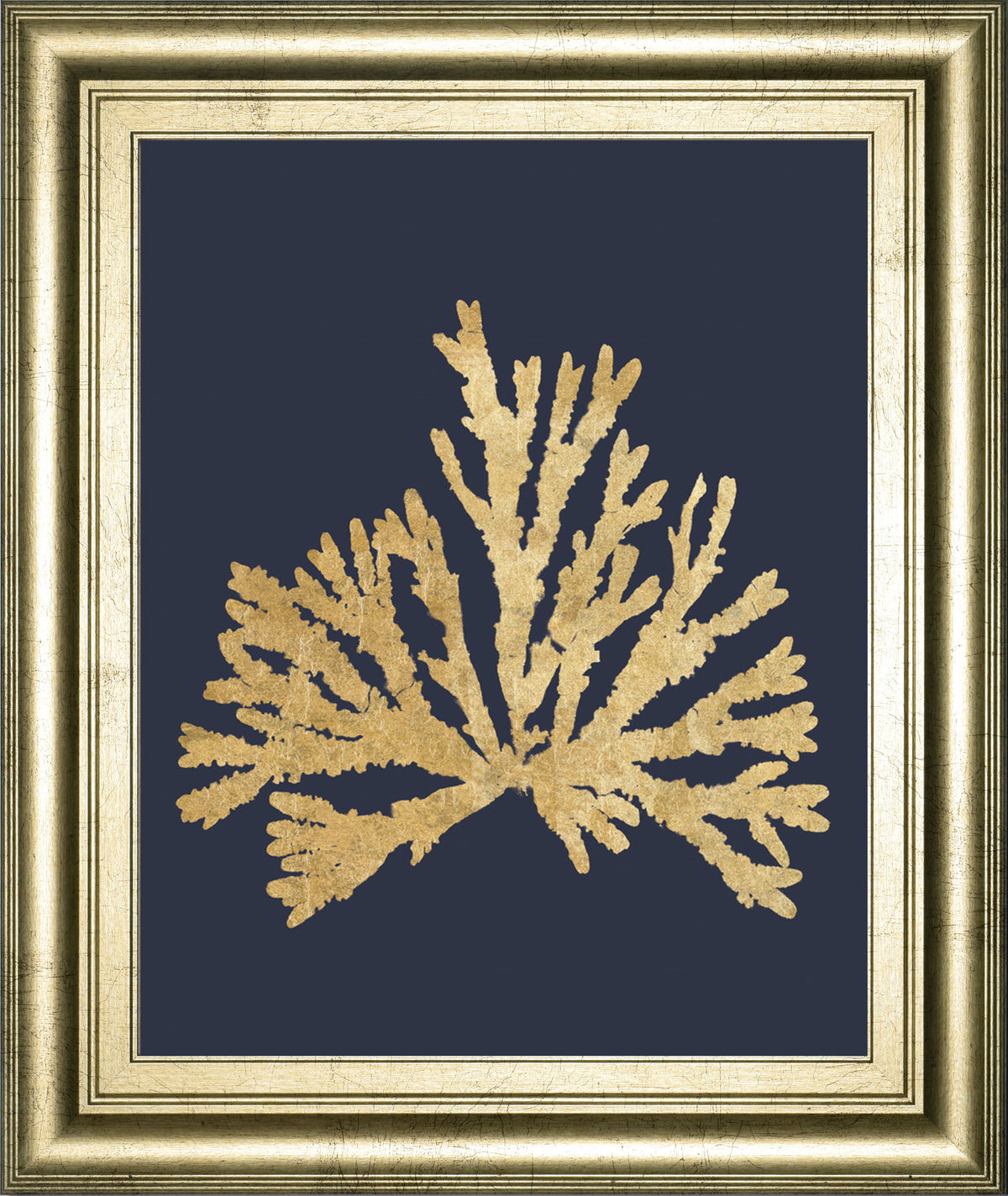 Pacific Sea Mosses IV Indigo By Wild Apple Portfolio - Framed Print Wall Art - Dark Gray