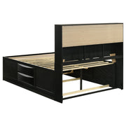 Briana Wood Storage Bookcase Bed