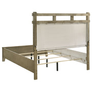Hazlewood 61-inch Panel Bed Vineyard Oak