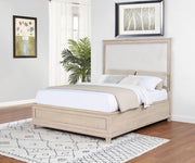 Pembroke 66-inch Panel Bed Washed Oak Queen