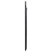Leandro 76-inch Full Length Floor Mirror Burnished Black