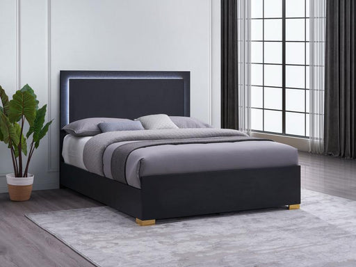 Marceline Wood LED Panel Bed Black Eastern King