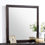 Emberlyn Dresser Mirror Brown Default Title
