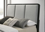 Arini Upholstered Panel Bed