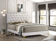 Kendall Upholstered Panel Bed White Queen