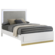 Caraway Wood LED Panel Bed