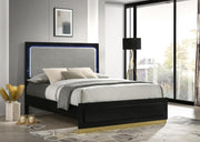 Caraway Wood LED Panel Bed Black Eastern King