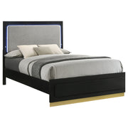 Caraway Wood LED Panel Bed