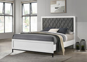 Sonora Upholstered Panel Bed Queen