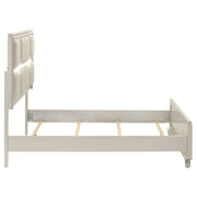 Olivia Panel Bed LED Headboard Pearl