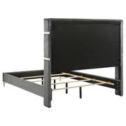 Lucia 61-inch Upholstered Wingback Bed