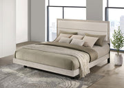 Trenton 54-inch Wood Panel Bed Rustic Cream Eastern King