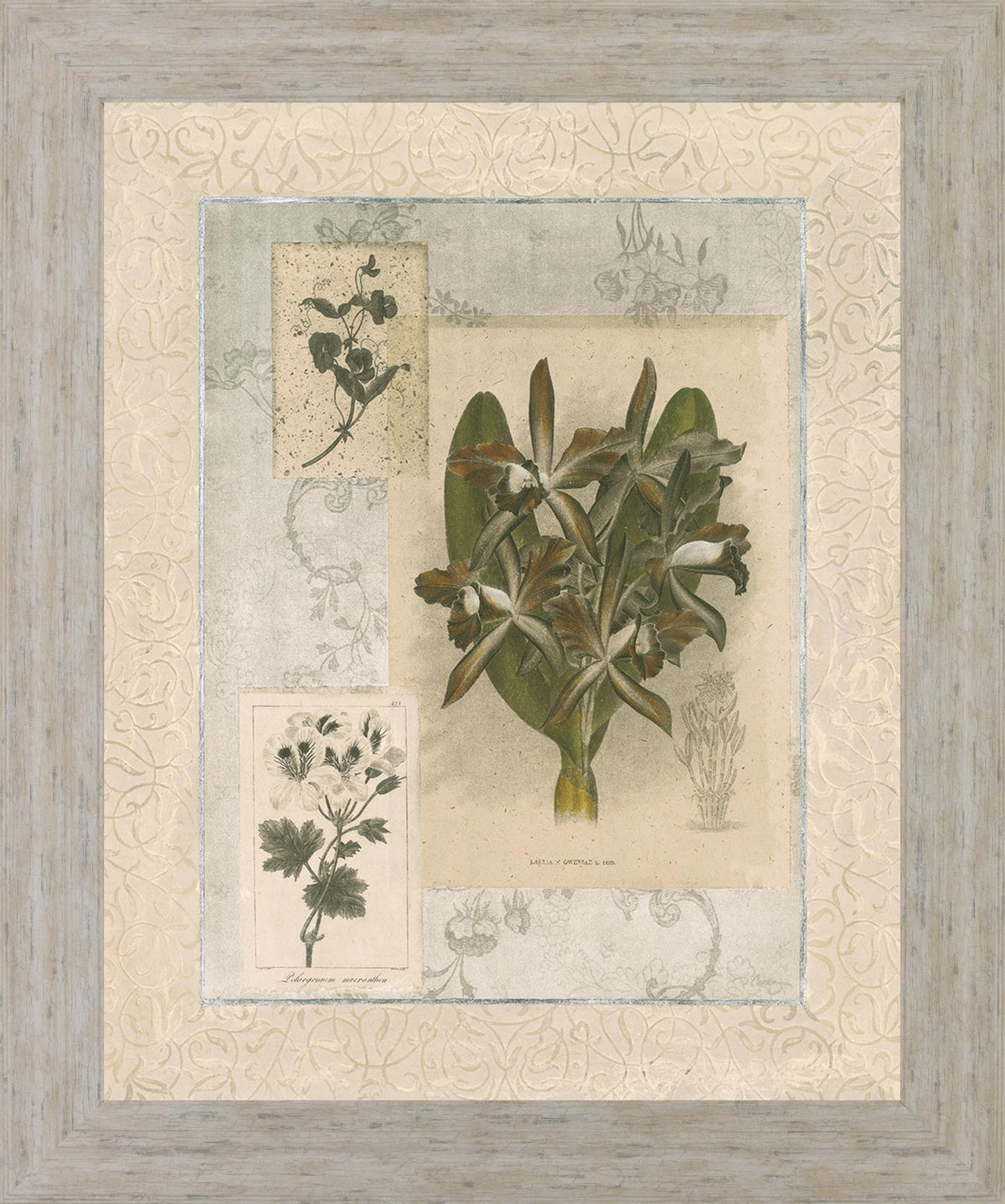 Vintage Botanical - 28" x 34" Framed Wall Art - Beige