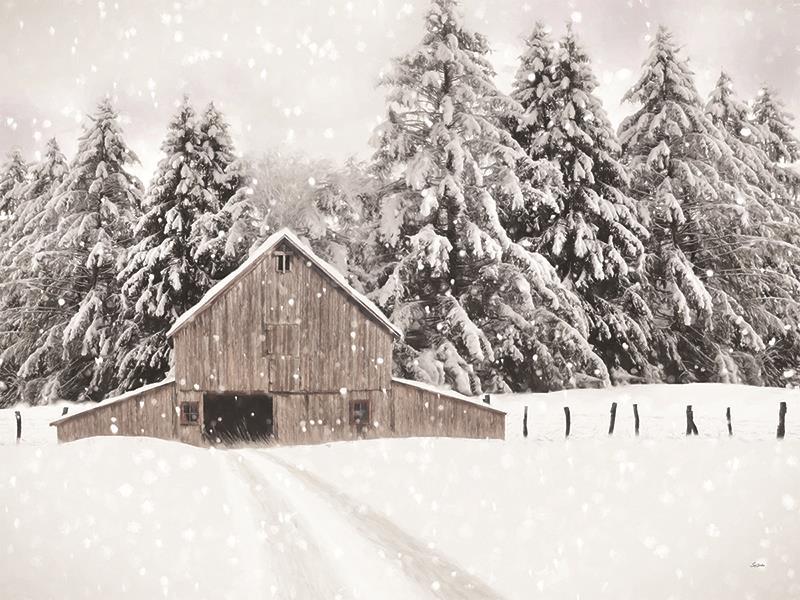 North Country By Lori Deiter - Beige